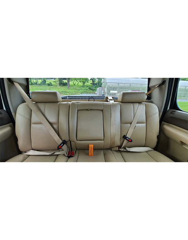 Backseat interior CUTNGO placement